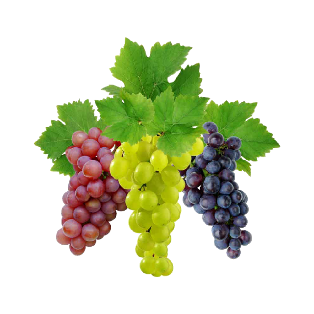 Are Grapes Good for You?