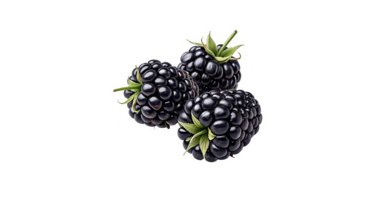 Is Blackberry Good for You Featured image