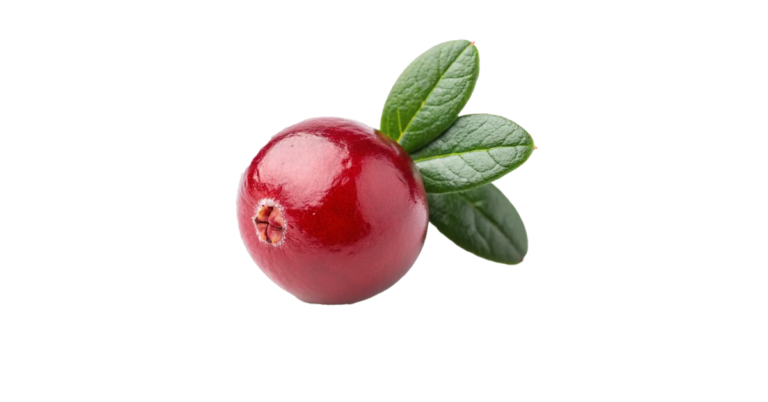 Is Cranberry Good for You Featured image