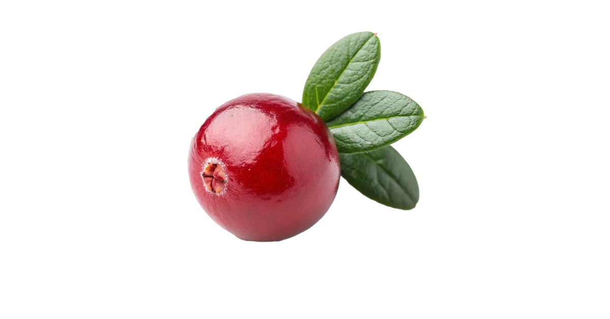 Is Cranberry Good for You Featured image