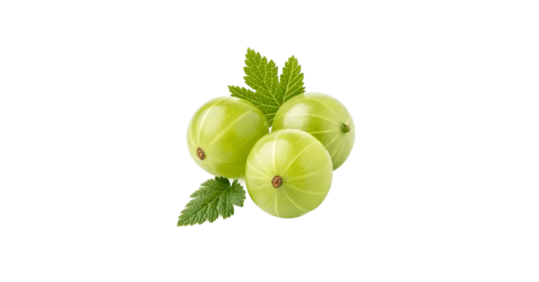 Is Gooseberry Good for You Featured image